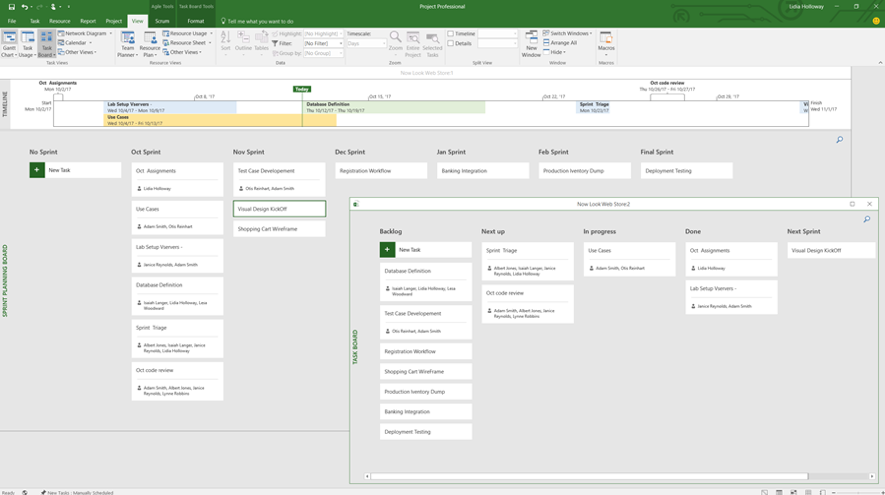 Control Panel of Microsoft Project PM Software