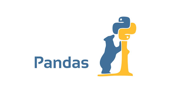 pandas icon