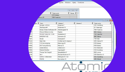 atomic software ERP