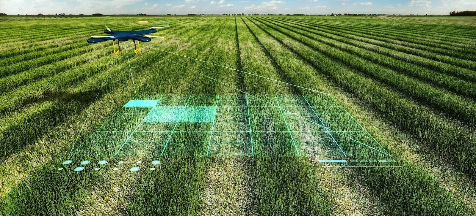 drones ai agiculture