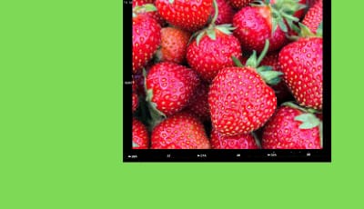 fruits image recognition agriculture